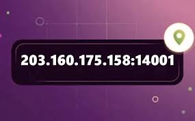 203.160.175.158.14001